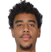 乌迪内斯